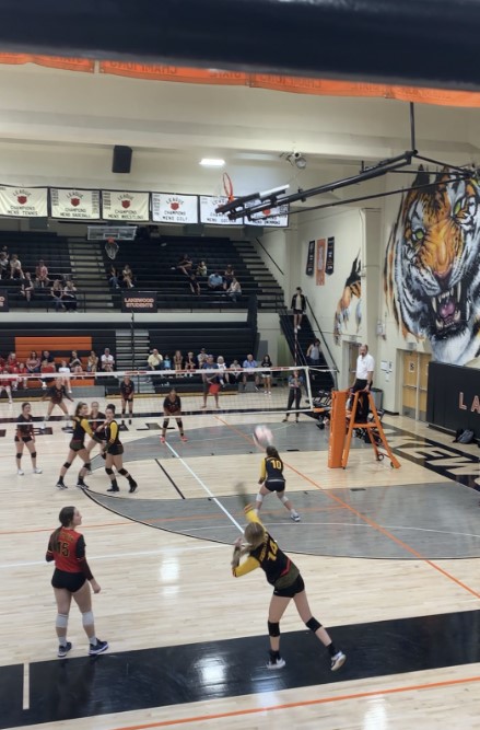 Boom! Number seven, sophomore Maddie Johnston serves the ball and aces it. “Every time I go back to serve I just take a deep breath and focus,” Johnston said.